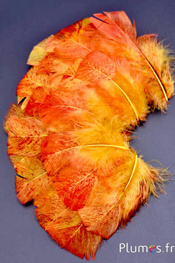 Tacchina spruzzo rosso - 6-8 cm - curry